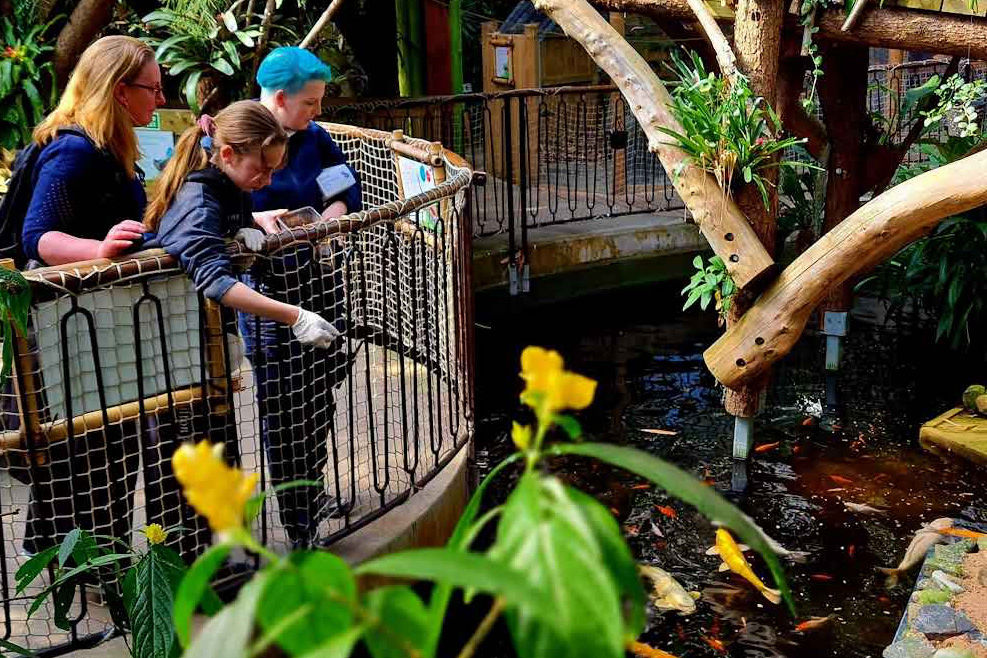 Plantasia Tropical Zoo